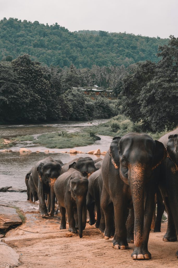 alex-azabache-hZhhVLLKJQ4-unsplash(1) alex-azabache-hZhhVLLKJQ4-unsplash(1)