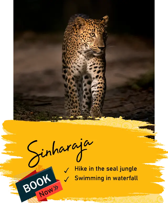 Sinharaja