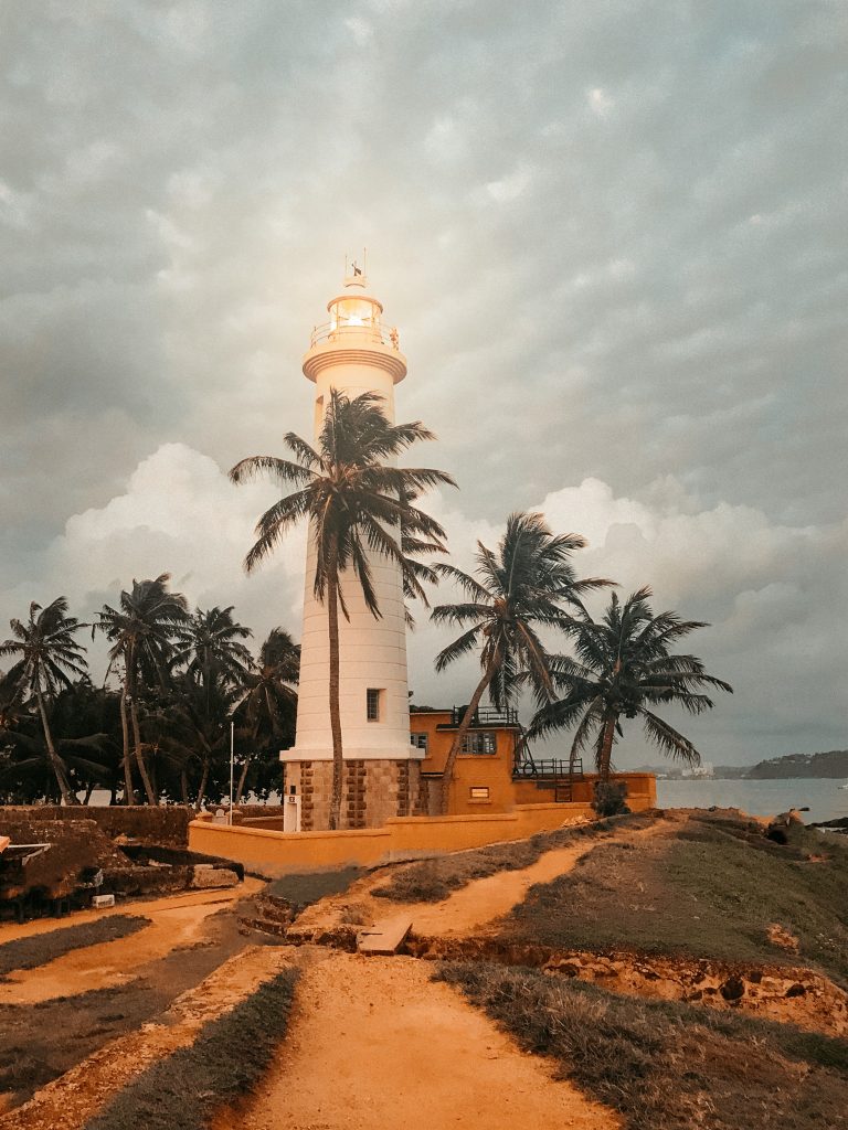 shainee-fernando-WDVMyBsSSwY-unsplash shainee-fernando-WDVMyBsSSwY-unsplash